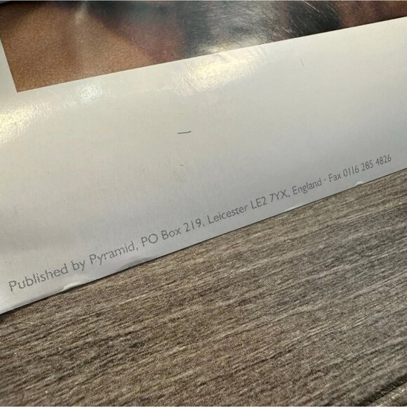 Alanis Morissette Rare Vintage 90s Poster 24X33.5 Alternative Rock POP Rock ICON - Picture 4 of 6